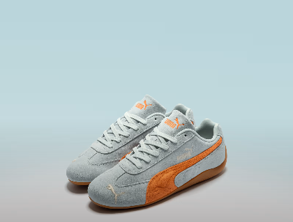 shoe
